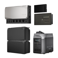 Комплект енергонезалежності EcoFlow Power Independence Kit 10 kWh (з генератором)