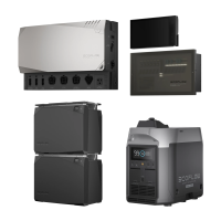 Комплект енергонезалежності EcoFlow Power Independence Kit 4 kWh (з генератором)